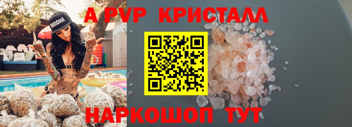 Альфа ПВП СК Горно-Алтайск