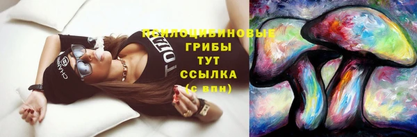 амф Бородино
