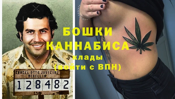 дурь Бронницы