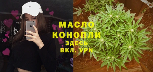 амф Бородино
