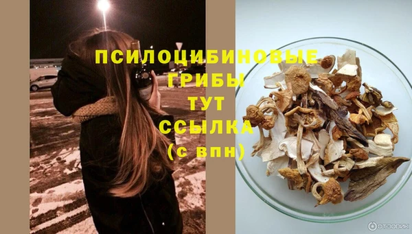 дурь Бронницы