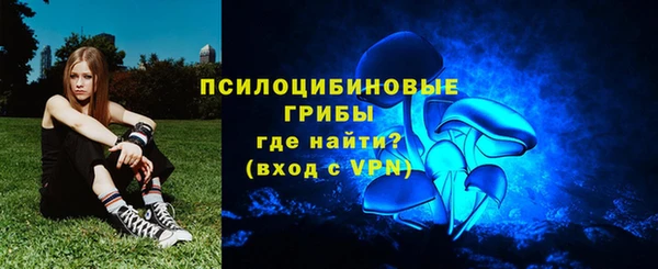 apvp Бугульма