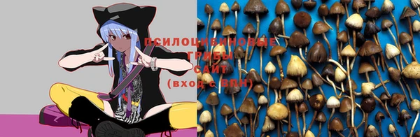 дурь Бронницы