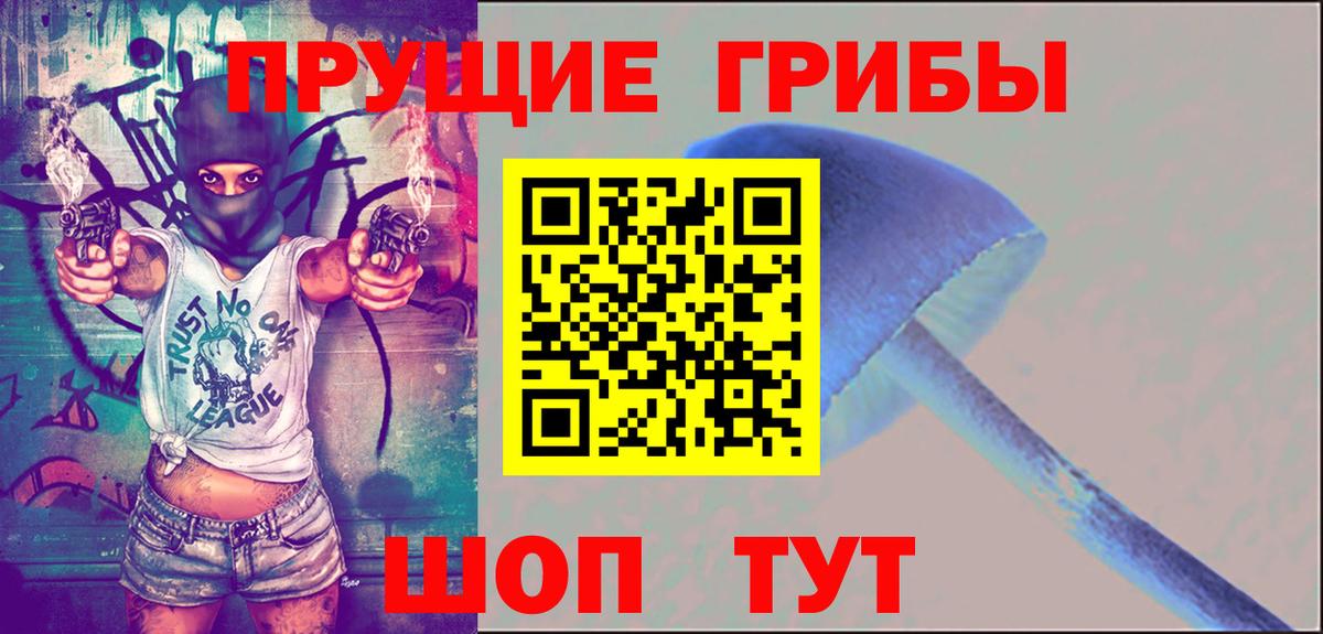 Галлюциногенные грибы Magic Shrooms  Псилоцибиновые грибы Psilocybe  хочу   Горно-Алтайск  Вход с VPN 